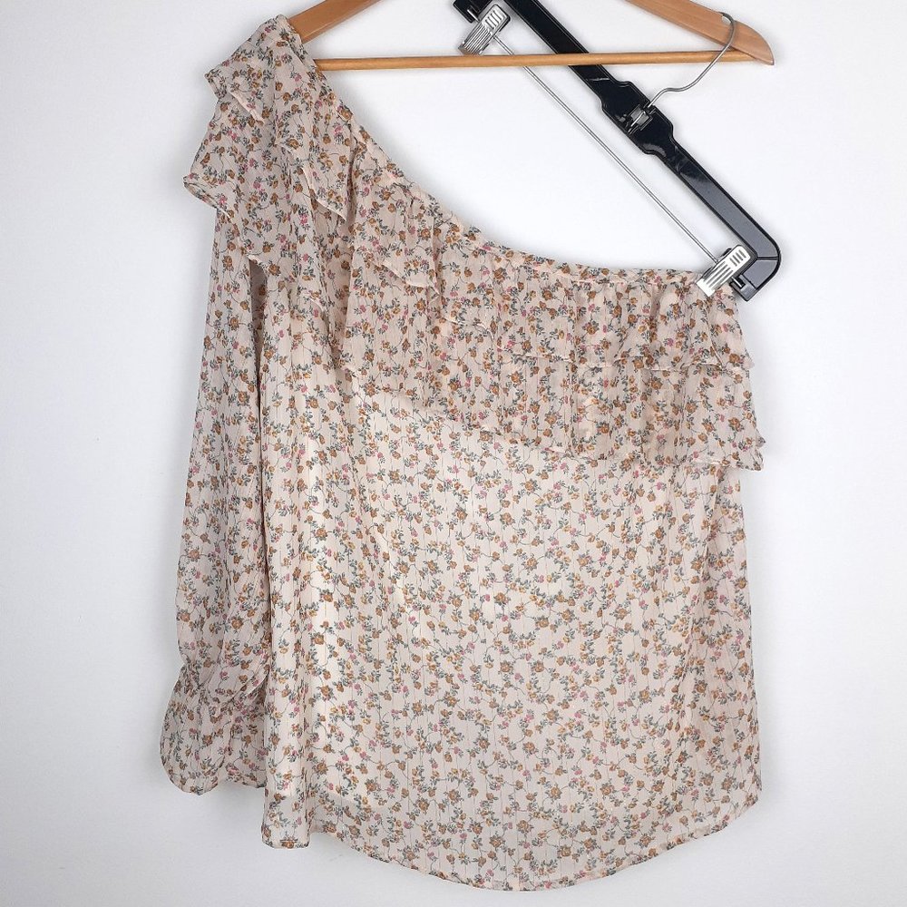 Dainty Floral Fairy One-Shoulder Ruffle Blouse Size 0. Beige Pink Sheer Torrid